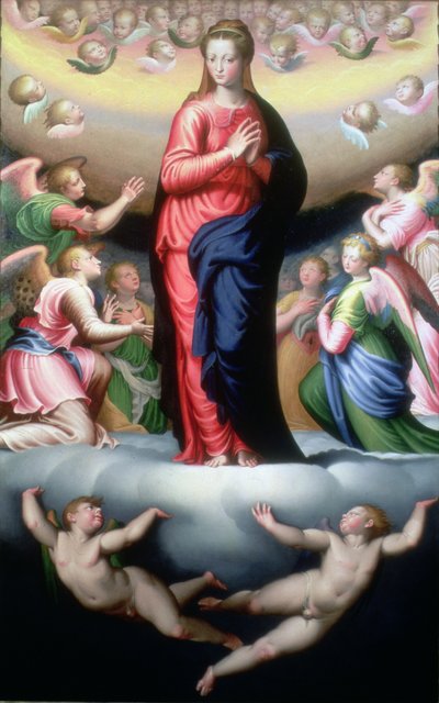 Madonna in Herrlichkeit von Bernardino Campi